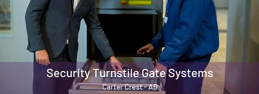 Security Turnstile Gate Systems Carter Crest - AB