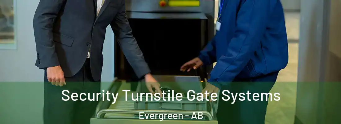  Security Turnstile Gate Systems Evergreen - AB