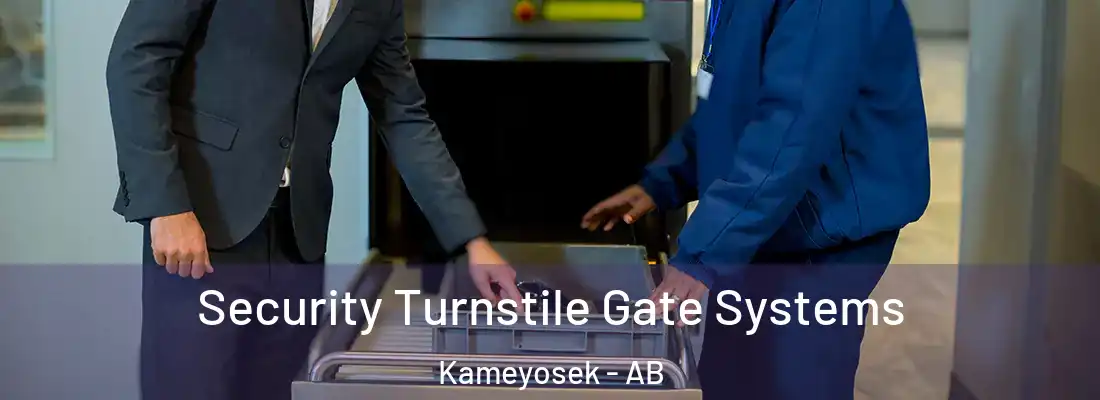  Security Turnstile Gate Systems Kameyosek - AB