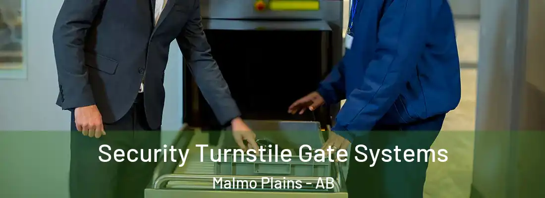  Security Turnstile Gate Systems Malmo Plains - AB