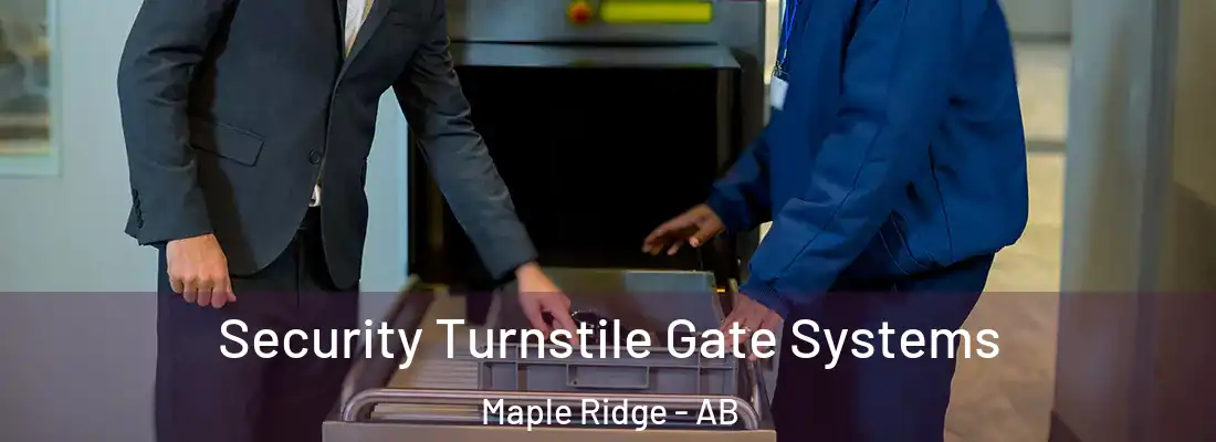 Security Turnstile Gate Systems Maple Ridge - AB