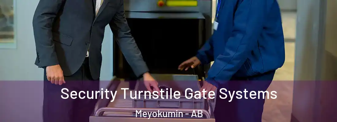  Security Turnstile Gate Systems Meyokumin - AB