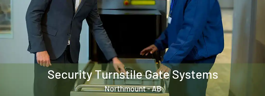  Security Turnstile Gate Systems Northmount - AB