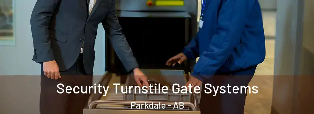  Security Turnstile Gate Systems Parkdale - AB
