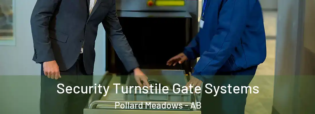  Security Turnstile Gate Systems Pollard Meadows - AB
