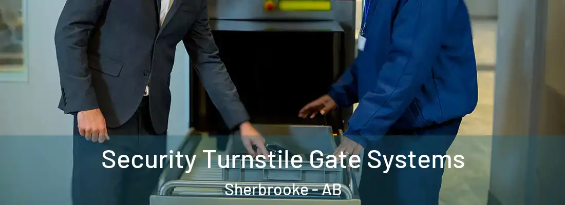  Security Turnstile Gate Systems Sherbrooke - AB