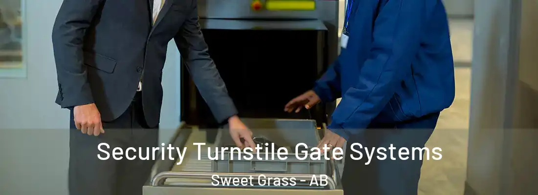  Security Turnstile Gate Systems Sweet Grass - AB