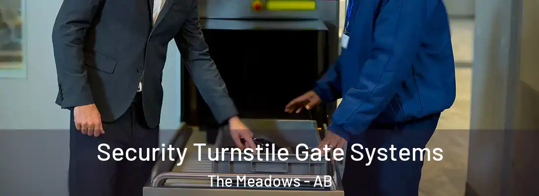  Security Turnstile Gate Systems The Meadows - AB