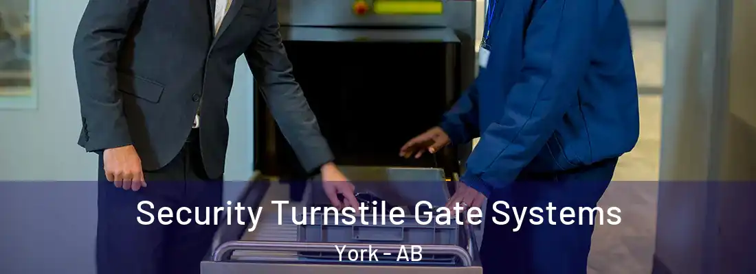  Security Turnstile Gate Systems York - AB