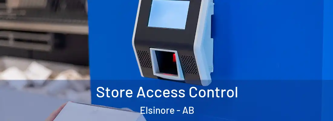  Store Access Control Elsinore - AB