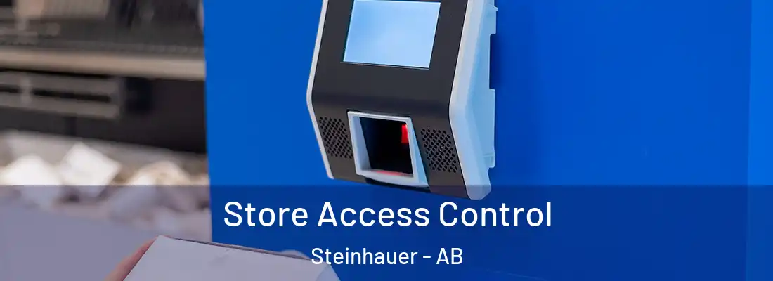  Store Access Control Steinhauer - AB