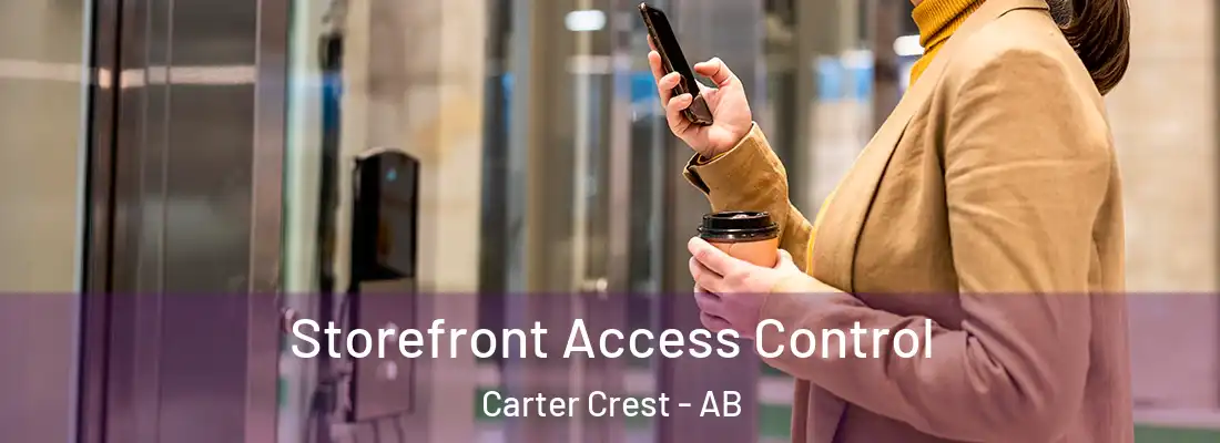  Storefront Access Control Carter Crest - AB