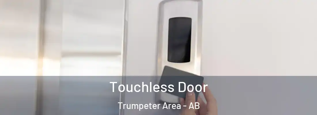  Touchless Door Trumpeter Area - AB