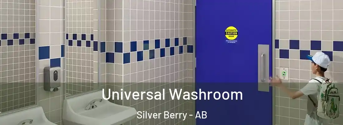  Universal Washroom Silver Berry - AB