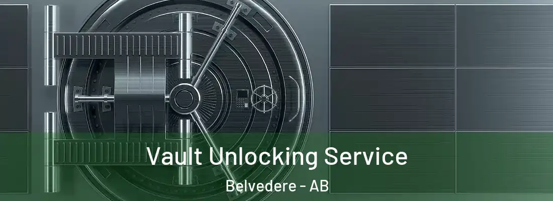  Vault Unlocking Service Belvedere - AB
