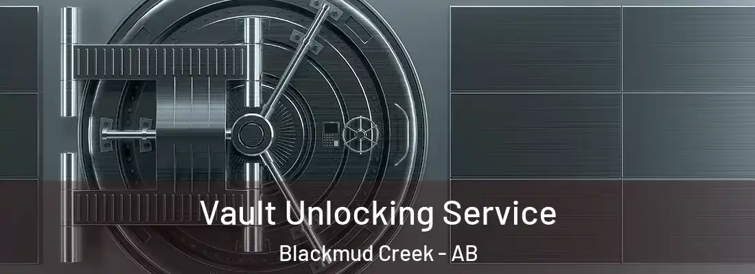  Vault Unlocking Service Blackmud Creek - AB