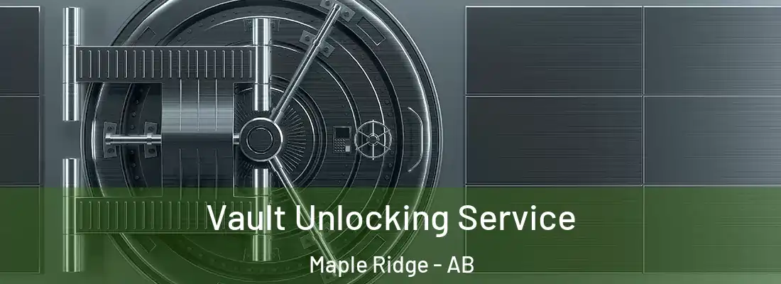  Vault Unlocking Service Maple Ridge - AB