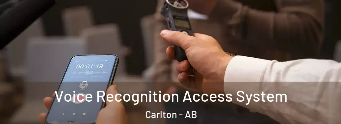  Voice Recognition Access System Carlton - AB