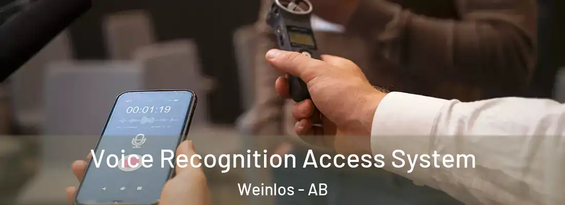  Voice Recognition Access System Weinlos - AB