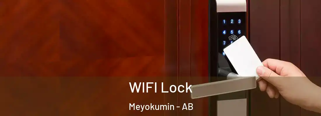  WIFI Lock Meyokumin - AB