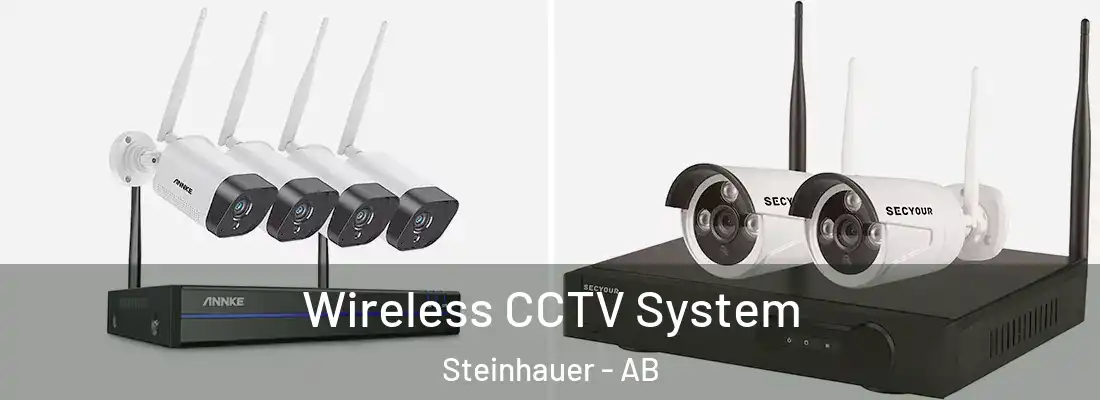  Wireless CCTV System Steinhauer - AB
